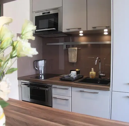 Daire Cote Marne Champigny-sur-Marne